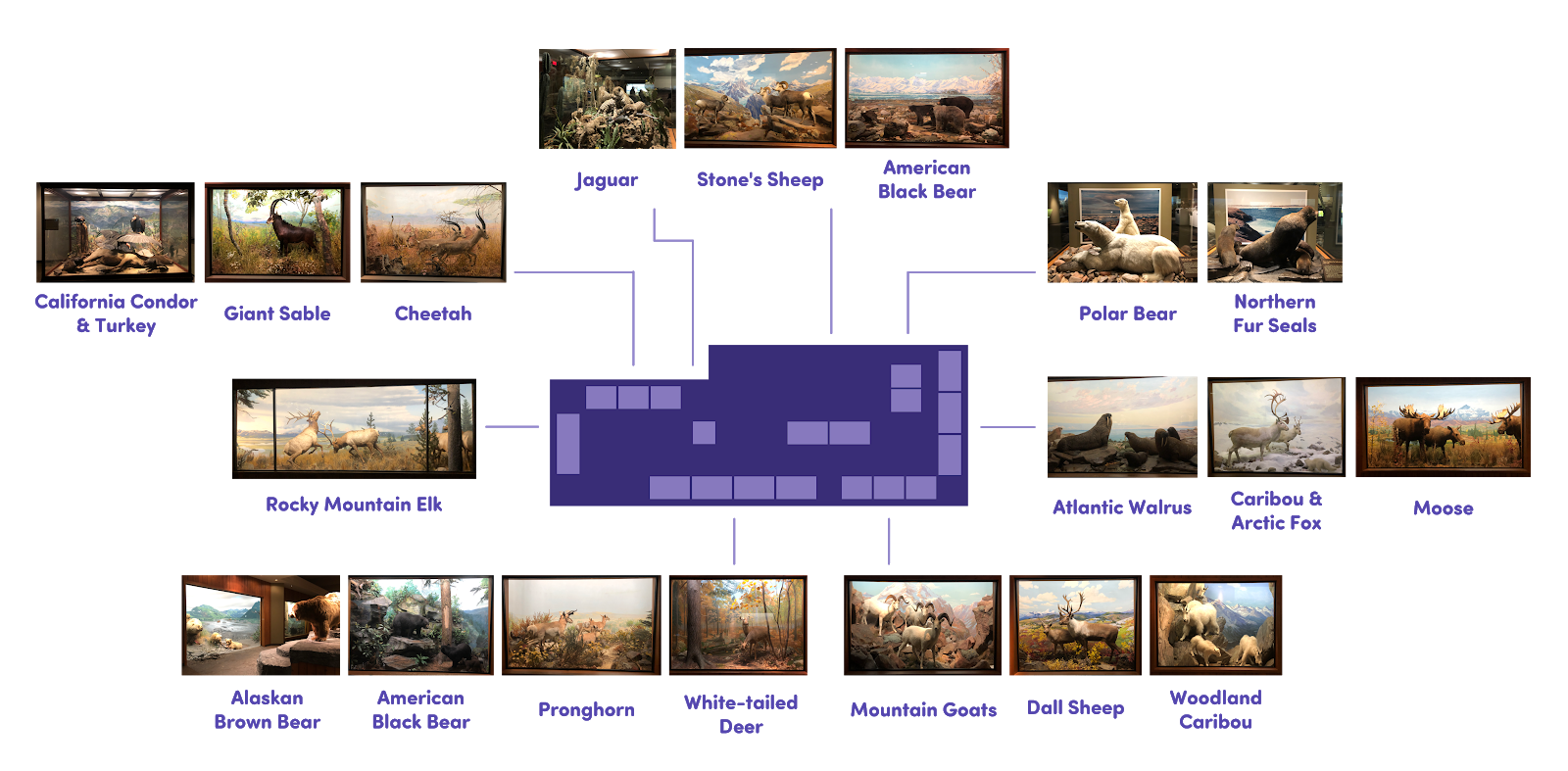 Habitat-Dioramas@0.2x